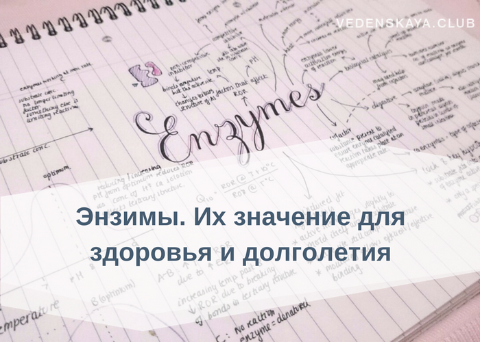 Энзимное питание что это. Смотреть фото Энзимное питание что это. Смотреть картинку Энзимное питание что это. Картинка про Энзимное питание что это. Фото Энзимное питание что это