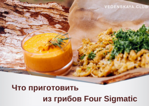 рецепты из чаги